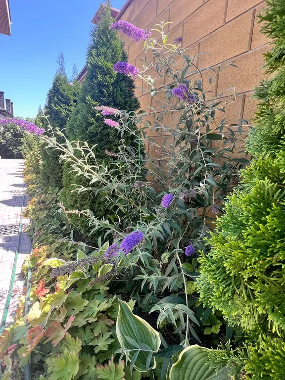 Тихая квартира-студия