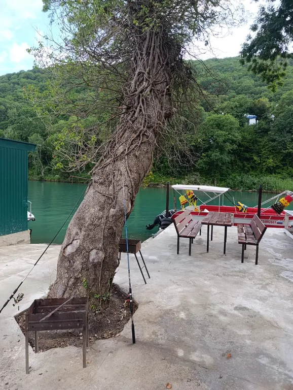 3-комнатные апартаменты с кухней на черном море