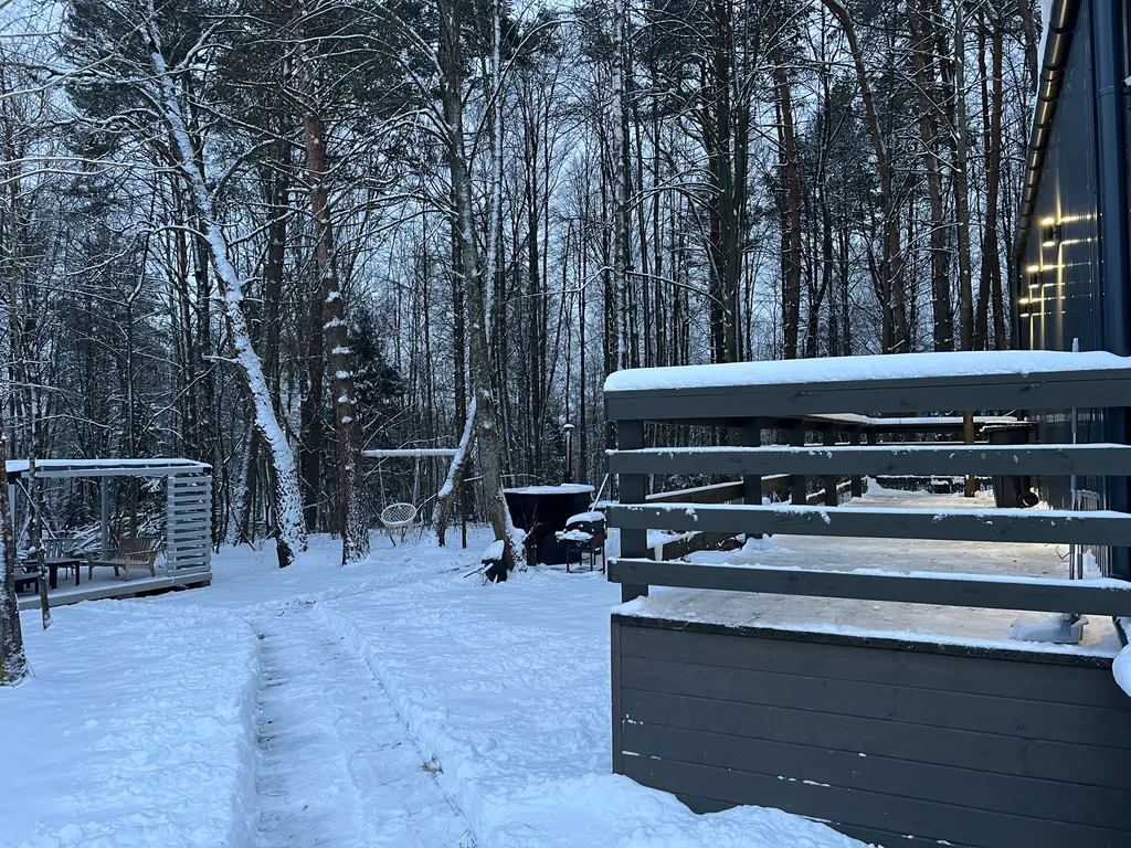 Барнхаус в окружении леса – здесь время течет иначе