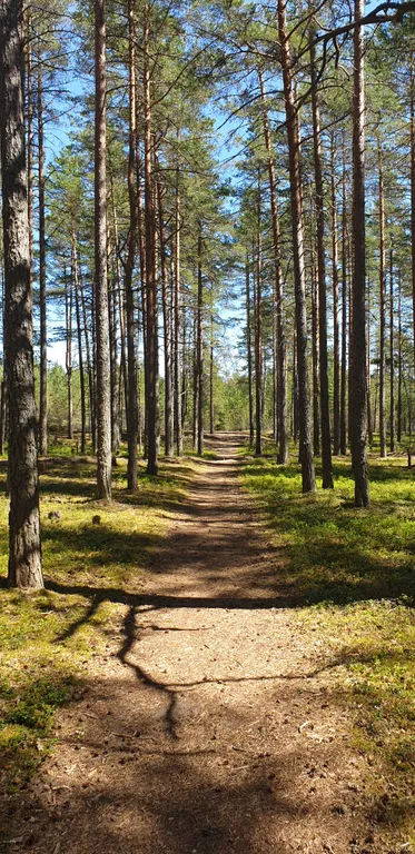 Дом на Ладоге