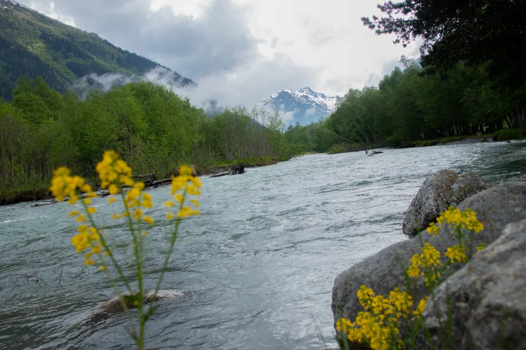 Гостевой дом Артур