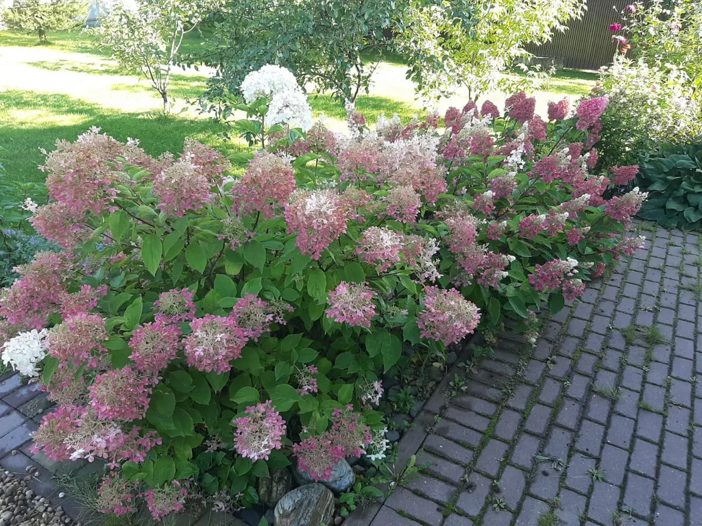 4-комнатный Дом