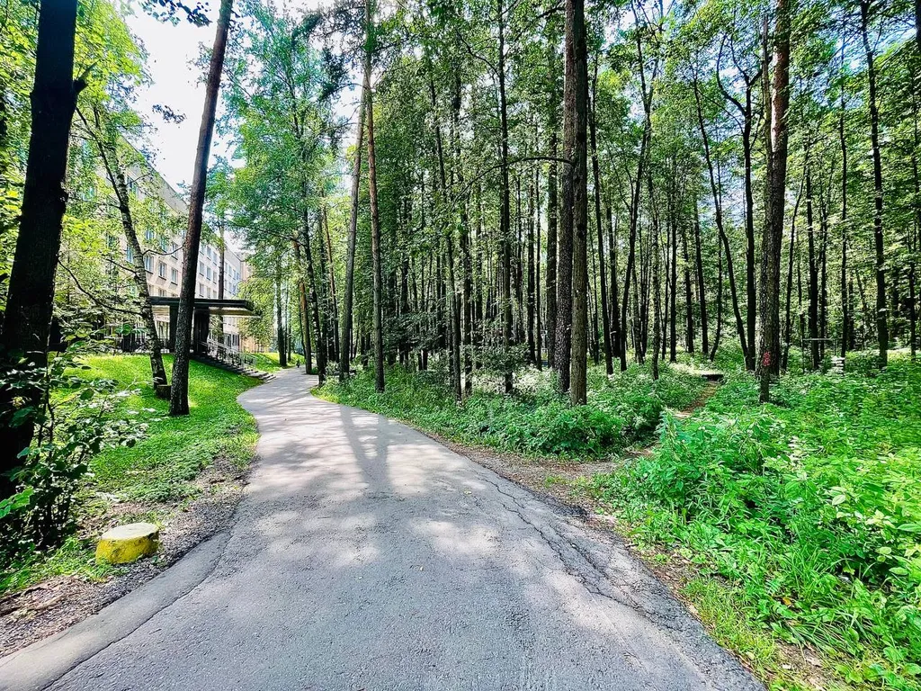 Комфортная студия в сосновом бору