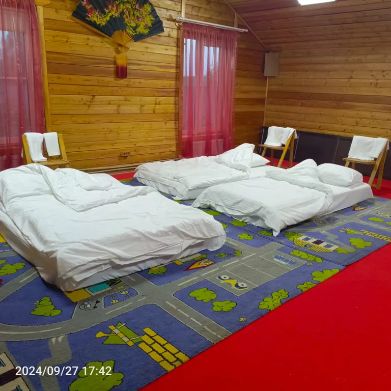 Большой дом для веселой компании