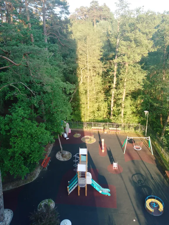 Квартира-студия с видом на сосновый бор — аренда посуточно в Светлогорск