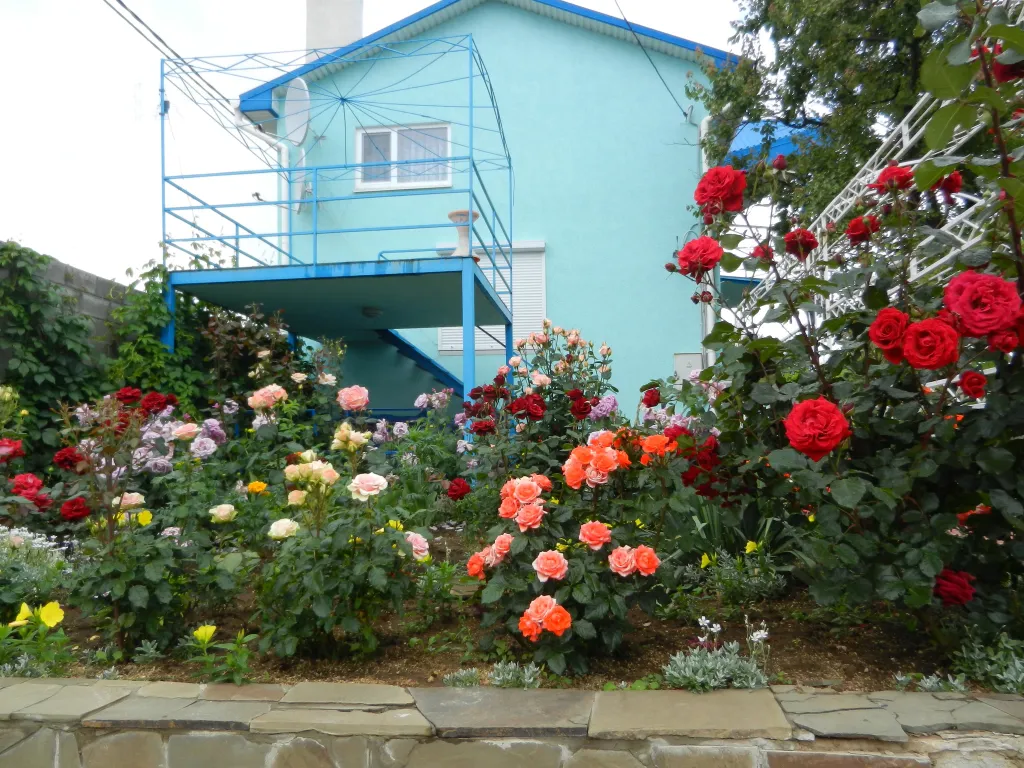 Уютный коттедж на берегу моря — аренда посуточно в Севастополь