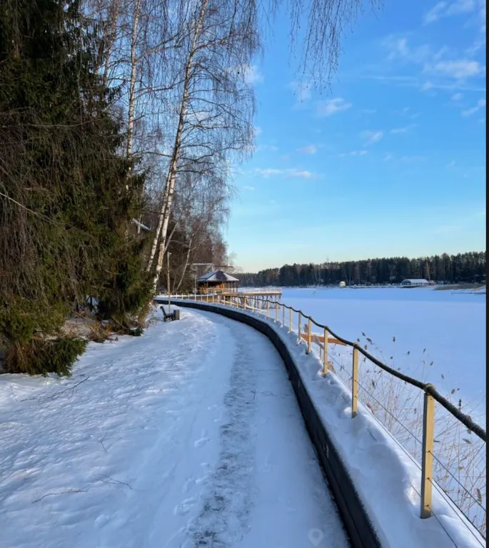 Коттедж на Новый год у воды