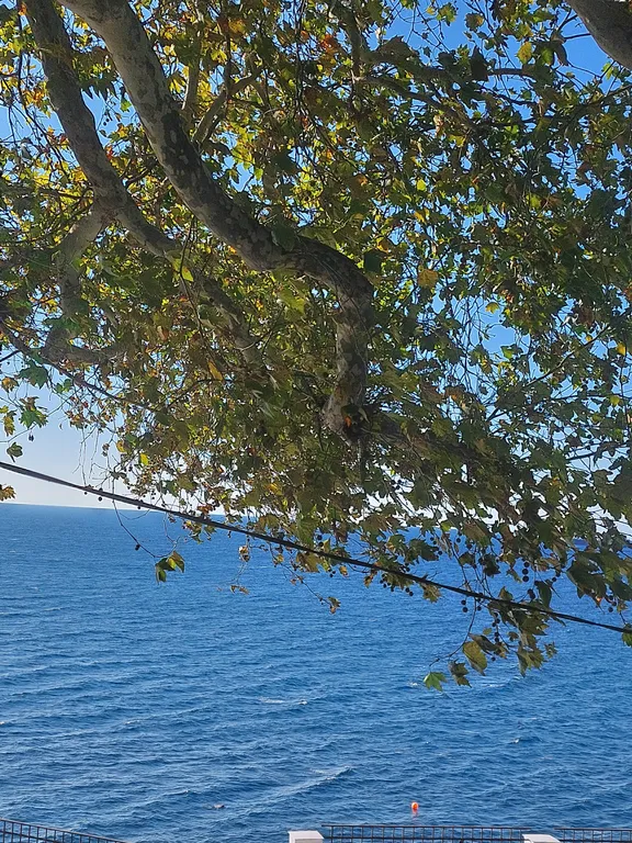 Евродвушка с видом на море на первой береговой линии