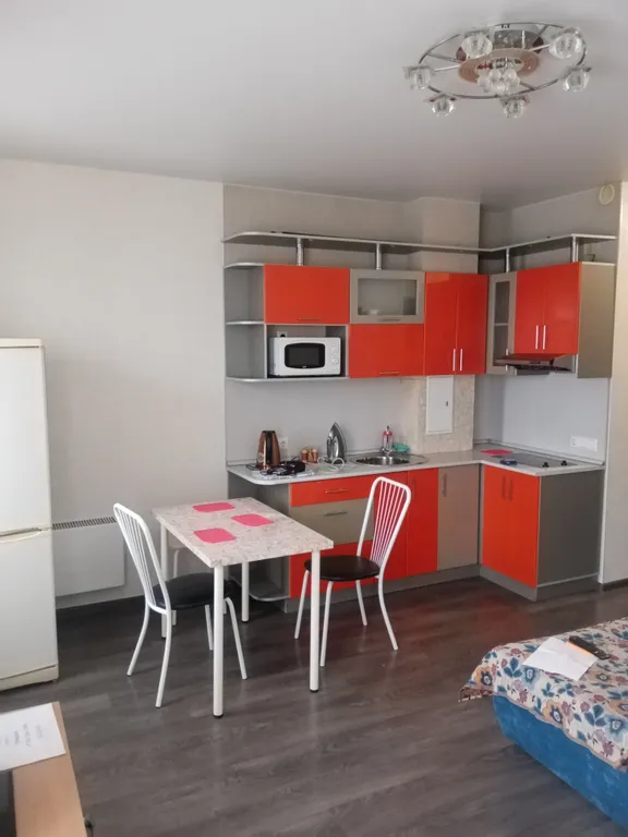 Квартира Уютная студия у зоопарка и дендропарка — аренда посуточно в Новосибирск