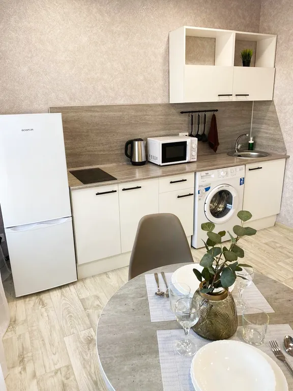 Современный апартамент норд