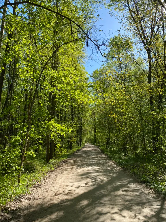 Уютный домик с сауной возле реки Ока