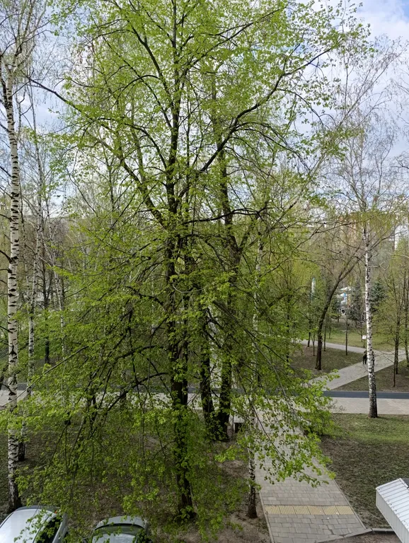Квартира Уютная 3-х комнатная квартира в центре города — Самара