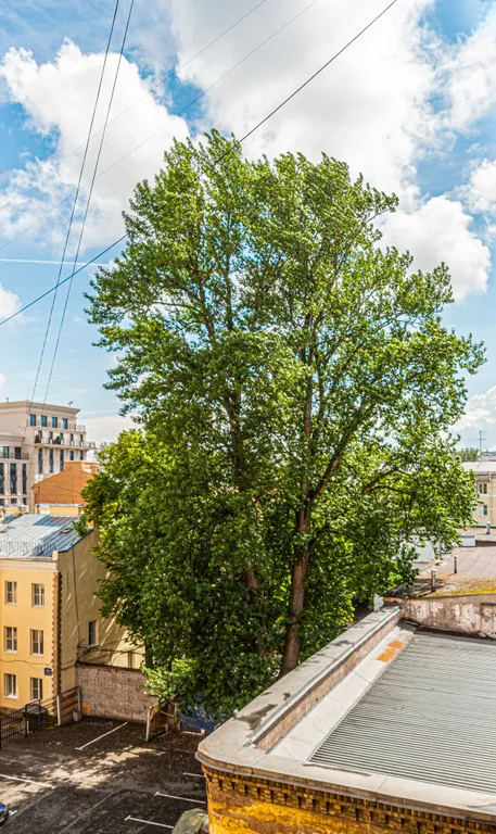 Уютная студия в центре