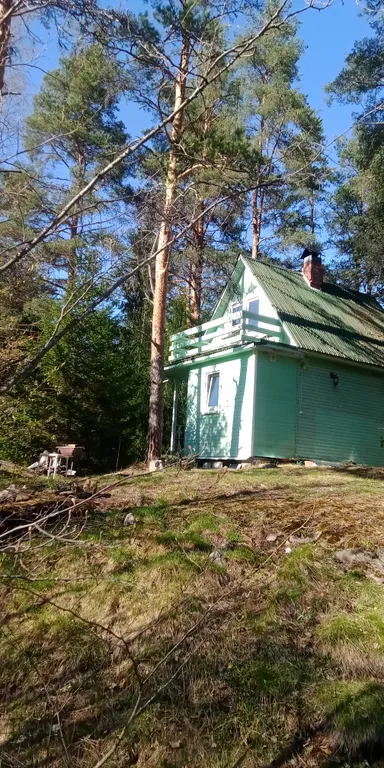 Лесная сказка на берегу Ладоги