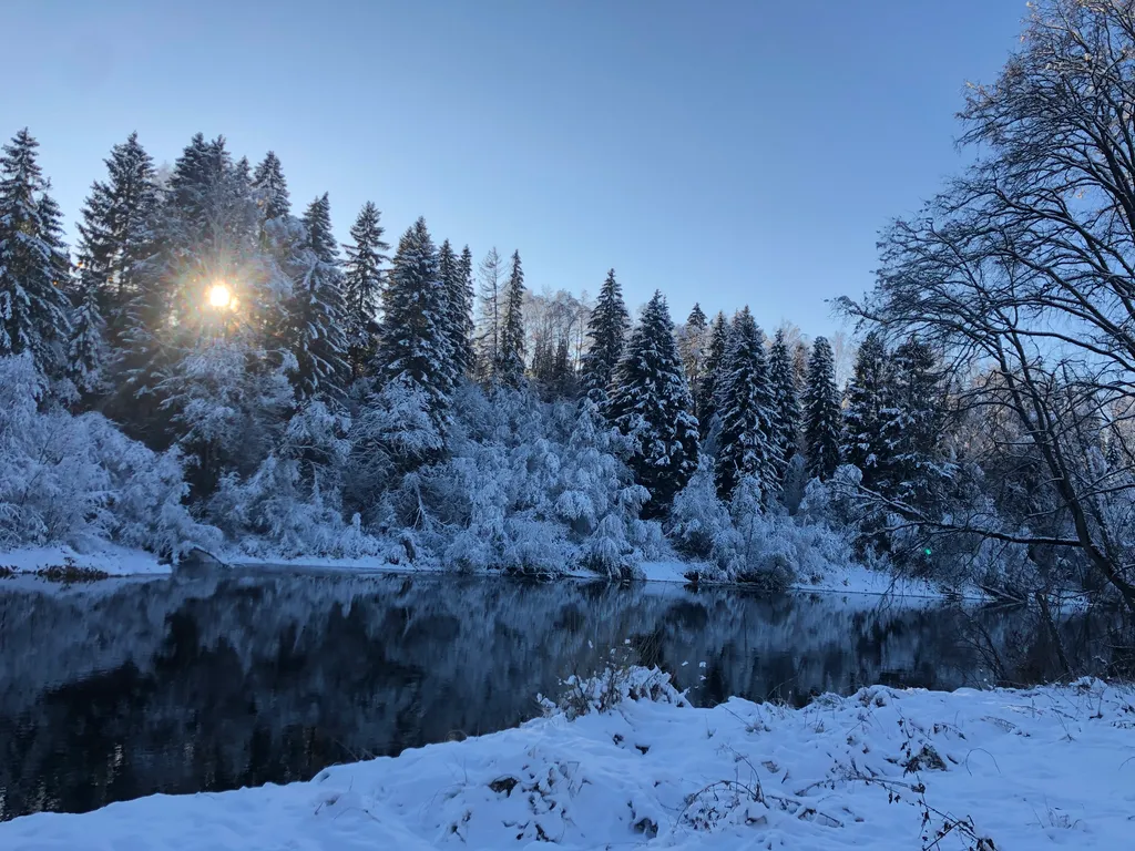 Коттедж Дом на прилесном участке в окружении реки — Горки