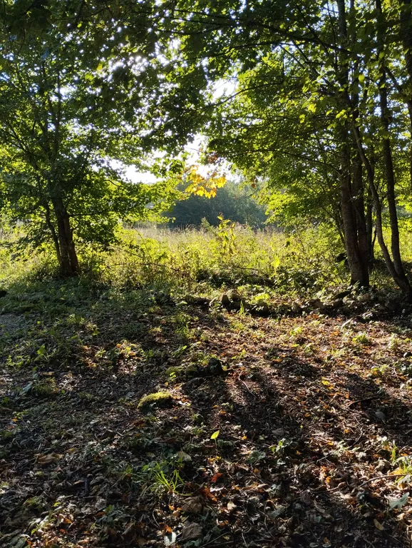 Уютный номер в Лаго-наки