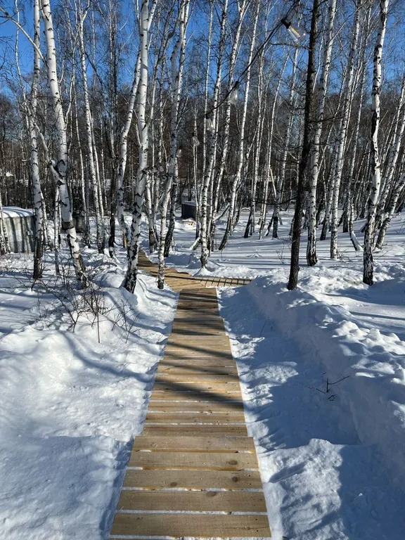 Уютное шале на природе в экопарке