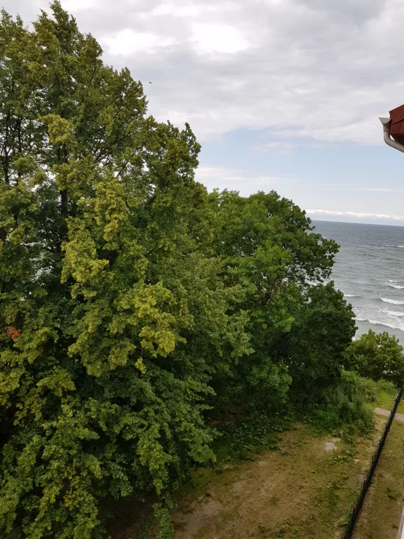 Апартаменты на первой линии моря