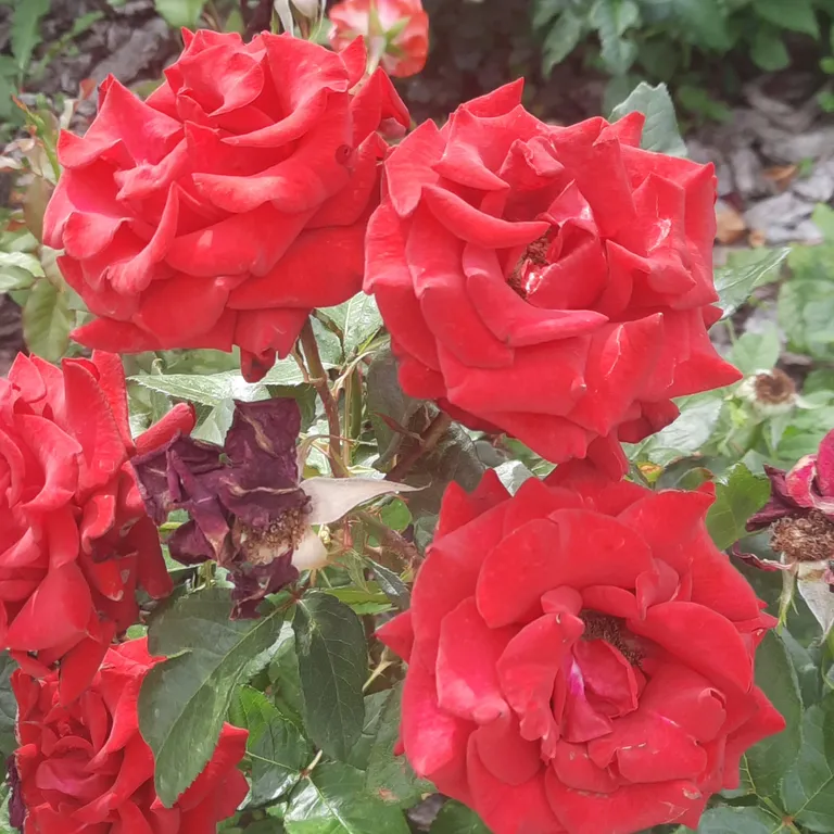 Коттедж Уютный коттедж для семейного отдыха, Голубые Озера — Казань