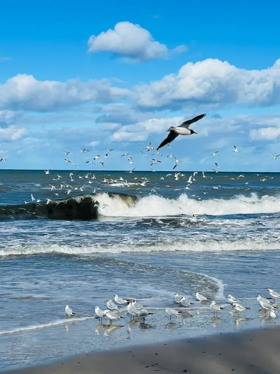 Квартира Апартаменты Релакс с террасой у моря — Зеленоградск