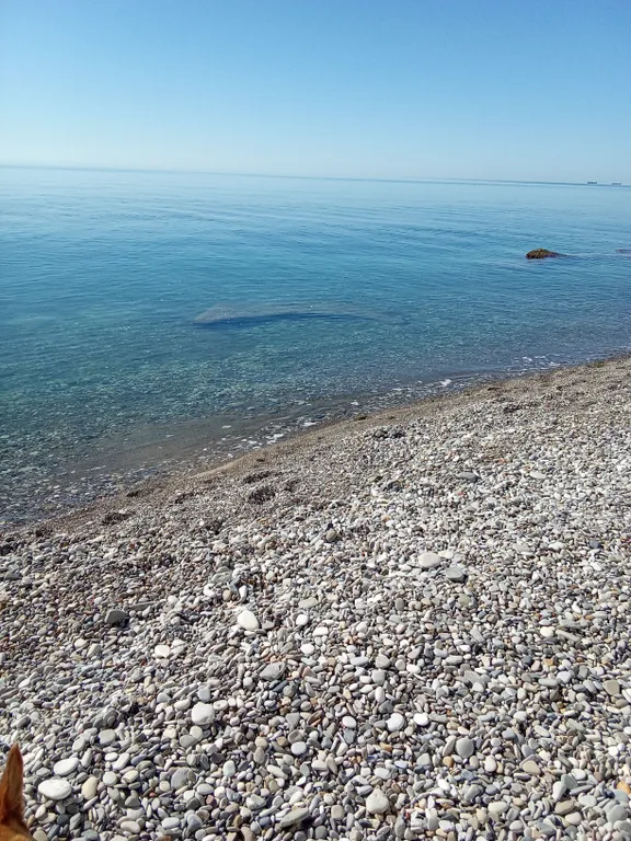 Коттедж Коттедж MoreHaus — Сочи