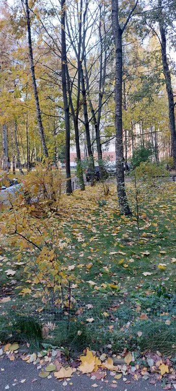 Квартира 2-комнатная Квартира — Санкт-Петербург