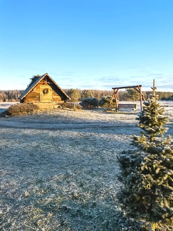 Домик-музей в Беловежской Пуще Беловежская светлица с печью и огнем
