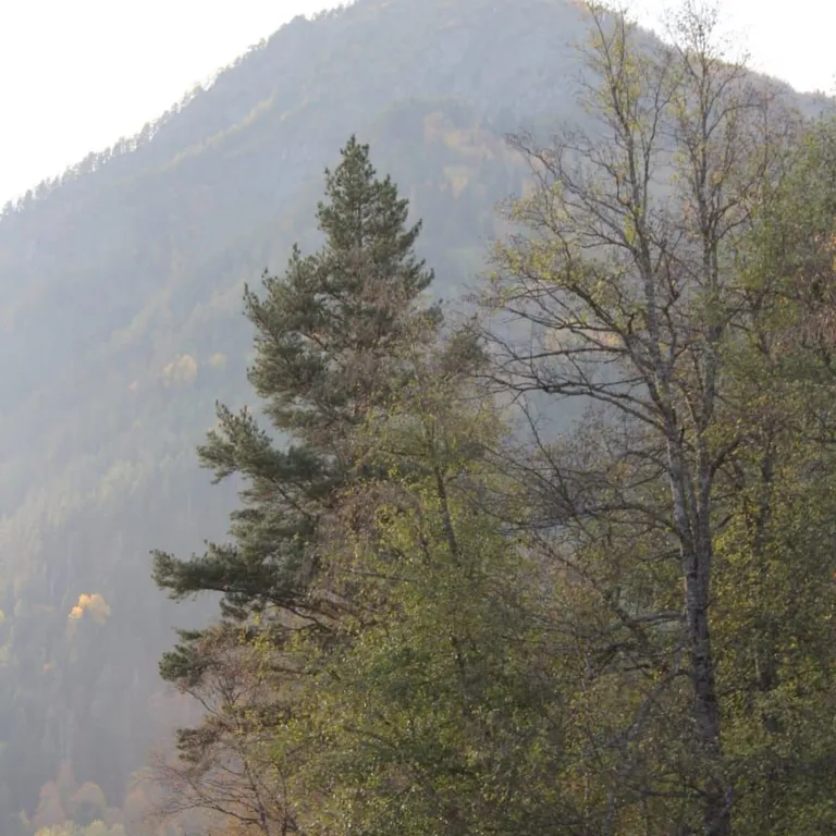 Коттедж Коттедж с большой территорией — Архыз