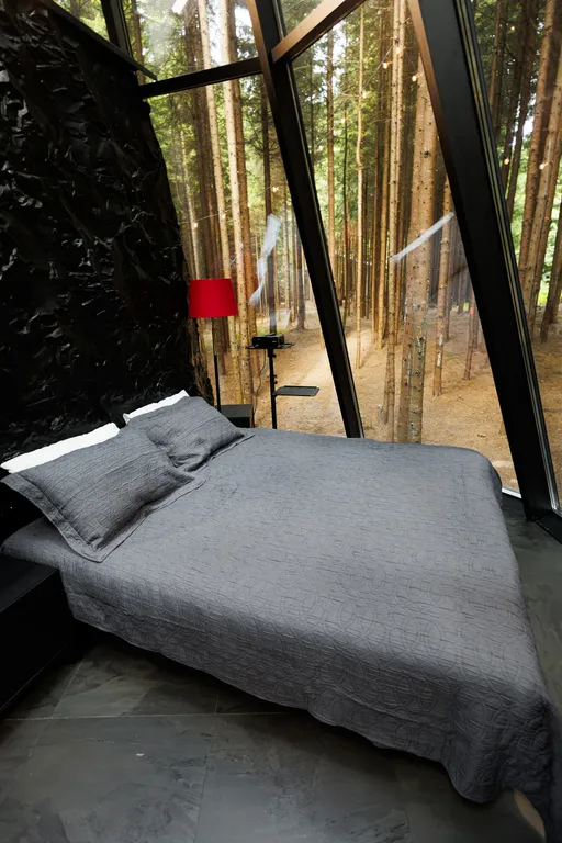 Дом-пирамида с 360 панорамой на лес