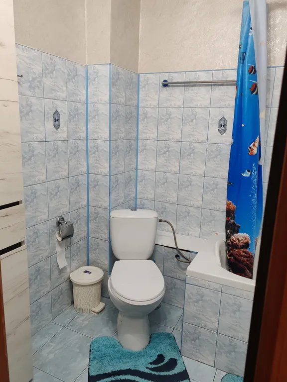 Поживём - увидим(однушка с двумя спальными местами, после ремонта)