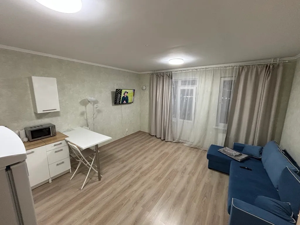 Квартира 1-комнатная Квартира — Янино-1