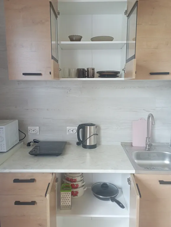 Квартира 1-комнатная Квартира — Сириус