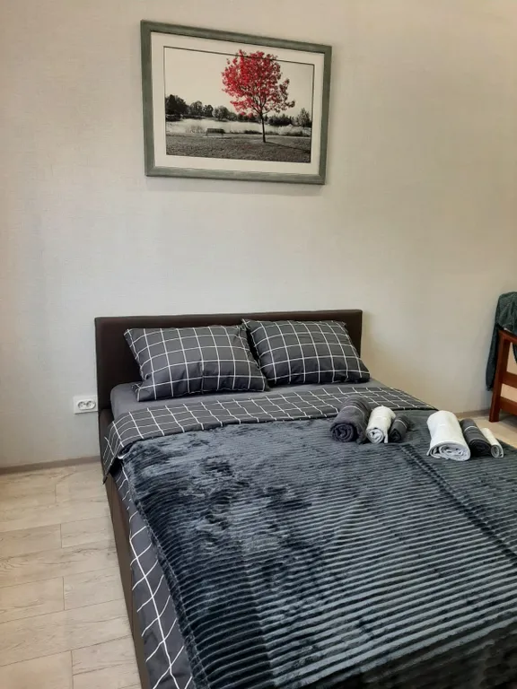 Квартира Просторная, светлая квартира — Калининград