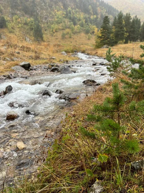 Уютный жилой дом в горах