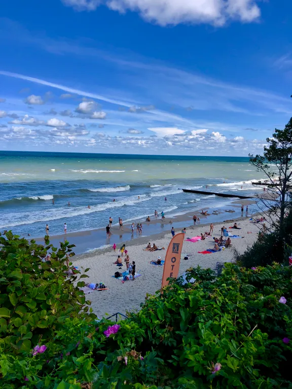 Orchid Relax Apartment