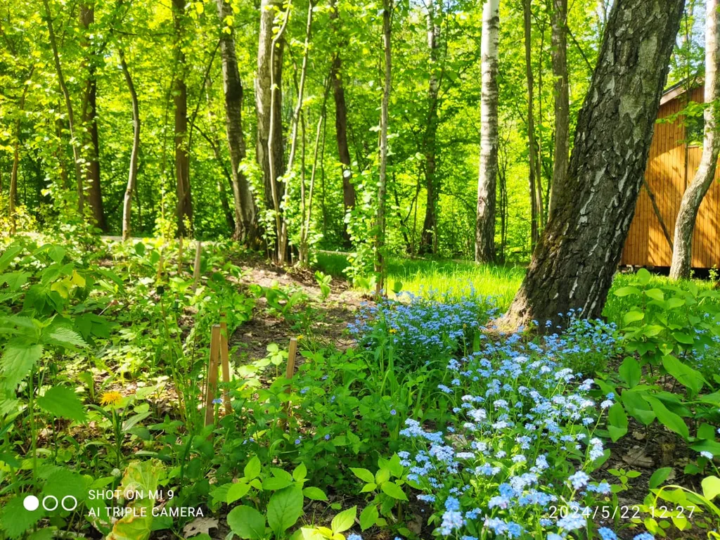 Новый стильный дом, большая лесная территория, недалеко от пруда с пляжем
