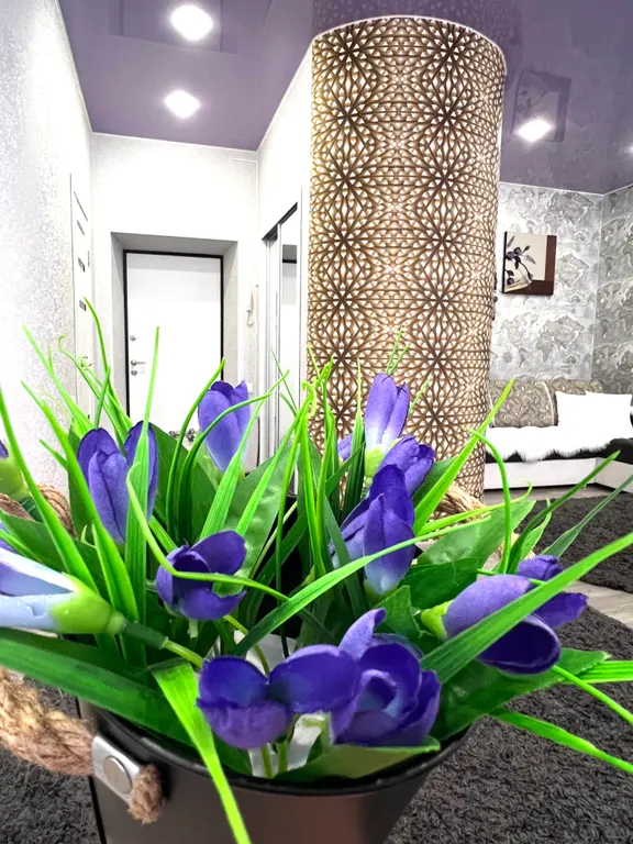 Студия люкс в самом центре города