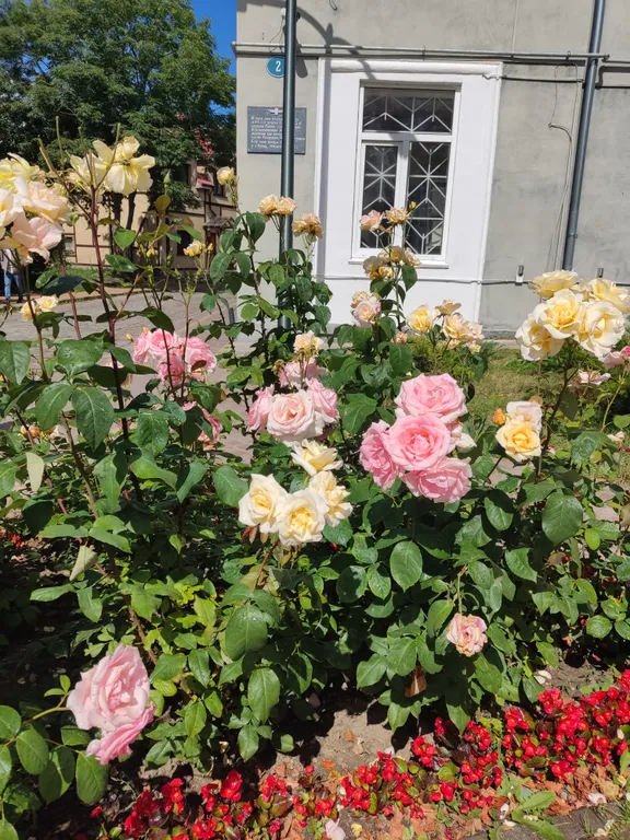 Уютная квартира с панорамным видом на Кафедральный собор