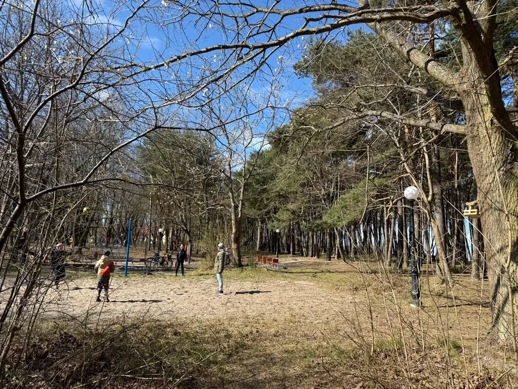 Квартира Уютная квартира на побережье — Пионерский