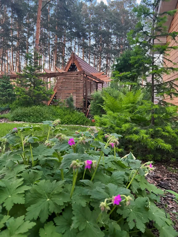 Дом афрейм в шатоrelax