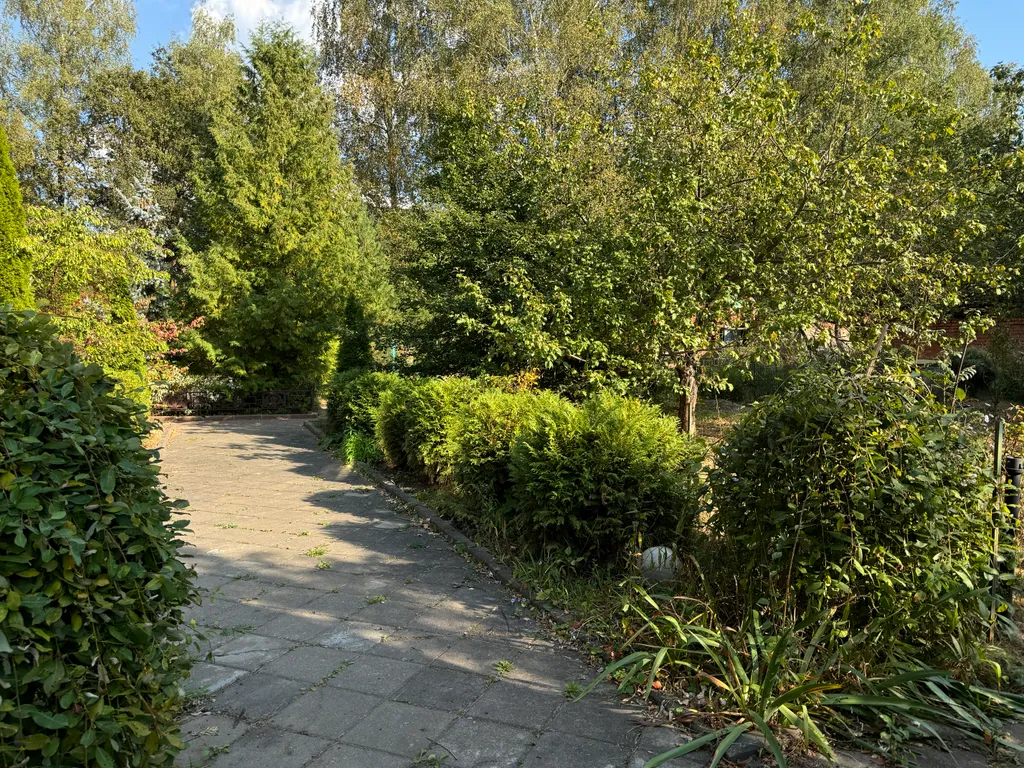 Дом с бассейном, сауной, возле леса для семейного отдыха