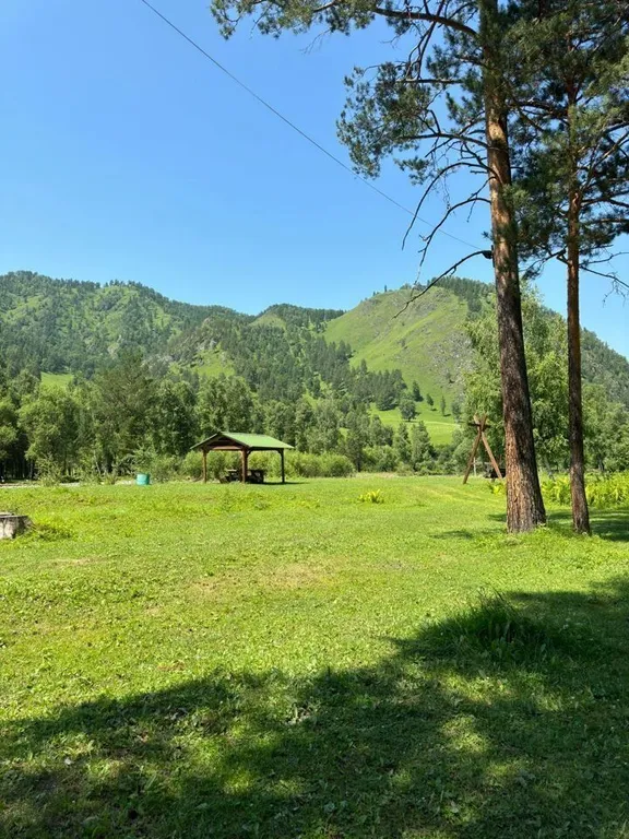 Аил( национальное алтайское жилье)