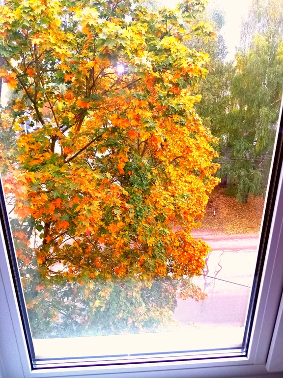 Это Ваш вариант