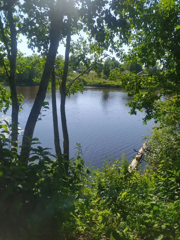 Гостевой домик на берегу реки Вытегорский район