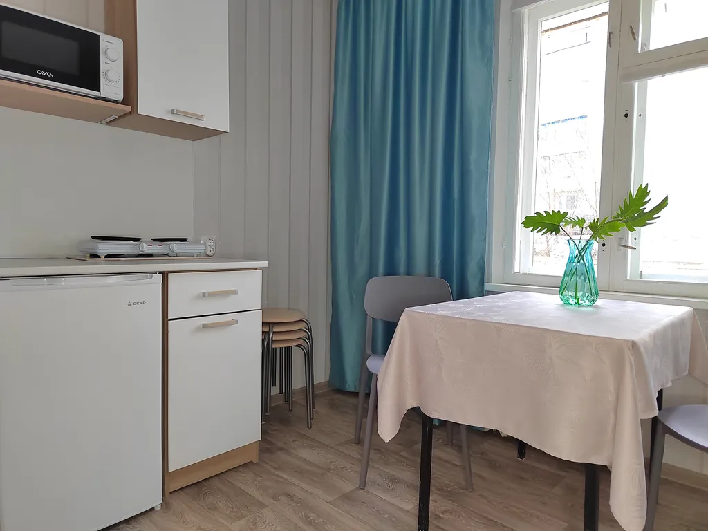 Уютная однокомнатная квартира