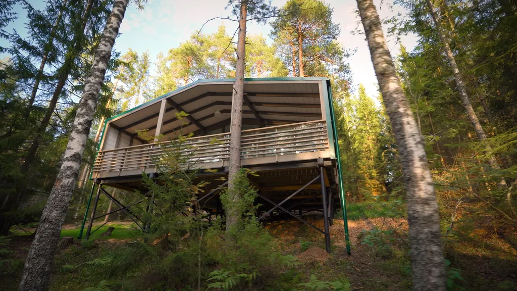 Дачи 2-3 линии