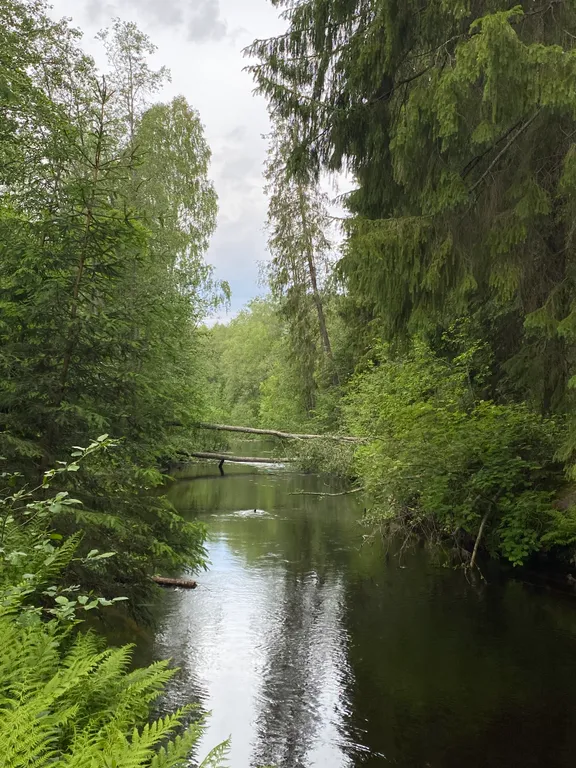 Гостевой дом в Карелии-Йокихутор
