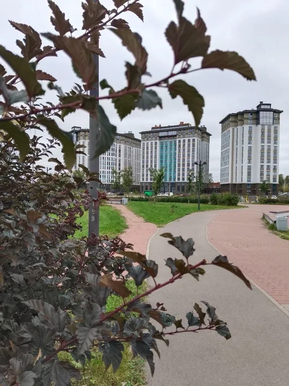 Квартира Квартира Студия у озера в 15 минутах езды от центра города, от собственника — Санкт-Петербург