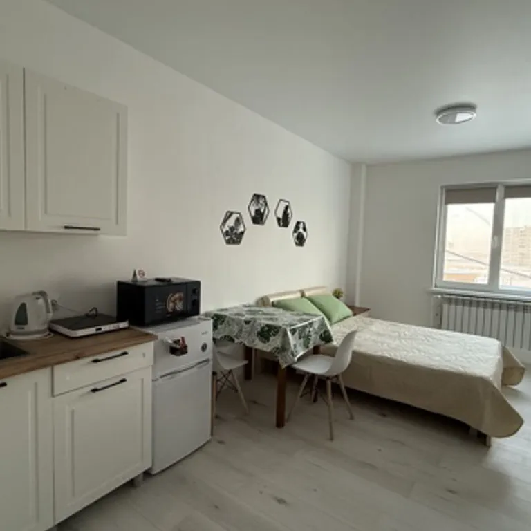 Квартира Уютная студия с видом на сквер Матери — аренда посуточно в Якутск