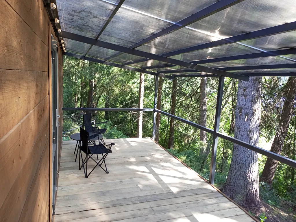 Домики на берегу Ладоги среди векового леса